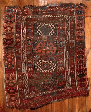 Whole rug