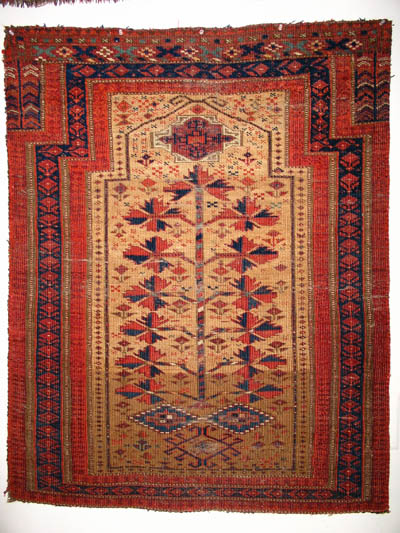 Turkotek Discussion Forums Tree Of Life Baluch Prayer Rugs